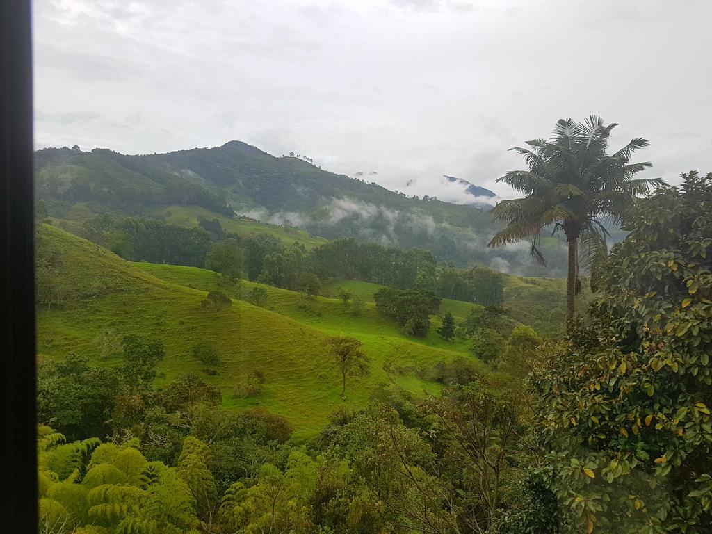 Mirador De Los Cedros Salento Exteriér fotografie