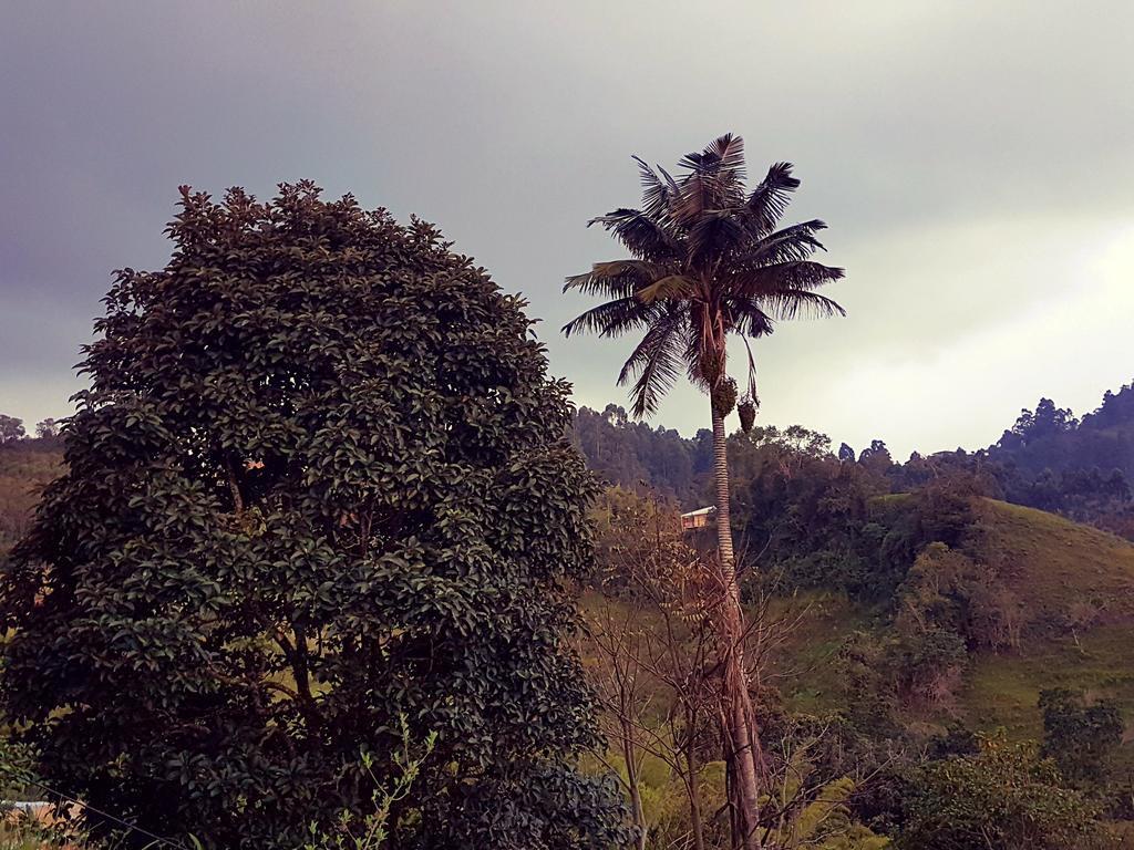 Mirador De Los Cedros Salento Exteriér fotografie